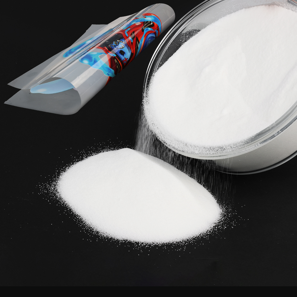 1000g 1kg DTF Powder Fine Powd - Solvent Printer Ink 评论和价格
